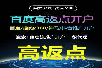 竞价推广策略：某电商平台的成功之路
